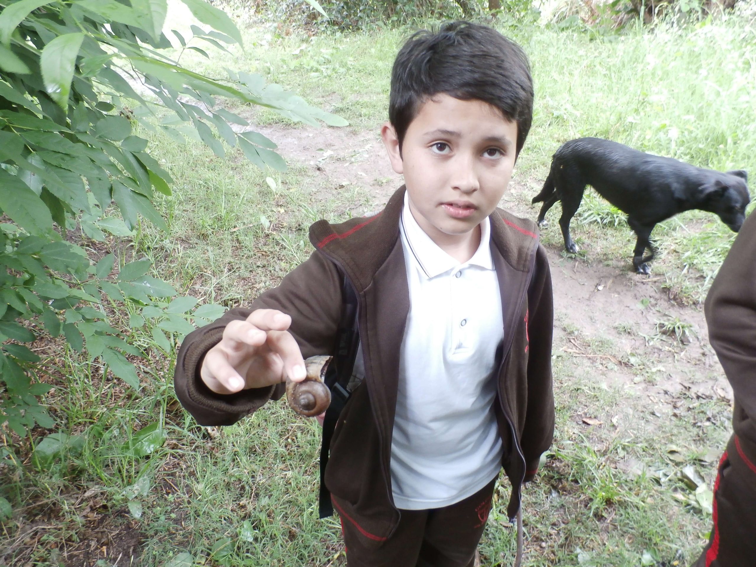 Servicios Educativos San Nicolás - Colegio San Martín