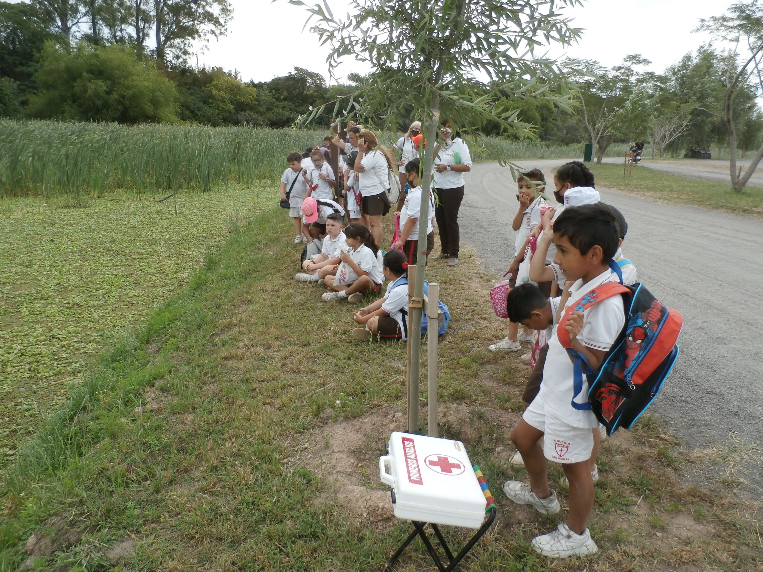 Inscripción Nivel Primario - San Nicolás de los Arroyos